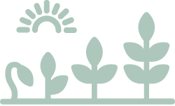 symbole de croissance avec coach en intelligence émotionnelle